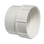 REGARD FEMELLE 4'' BNQ